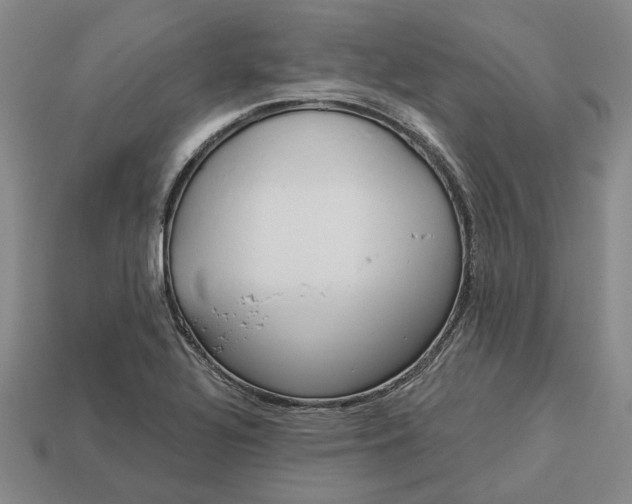 X0000112961320200909101624