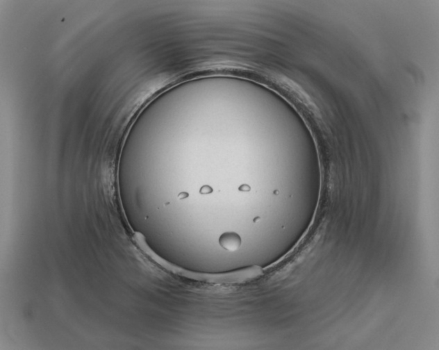 X0000112961321200909101625