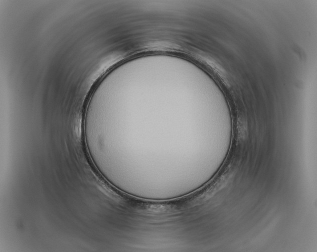 X0000112961322200909101625