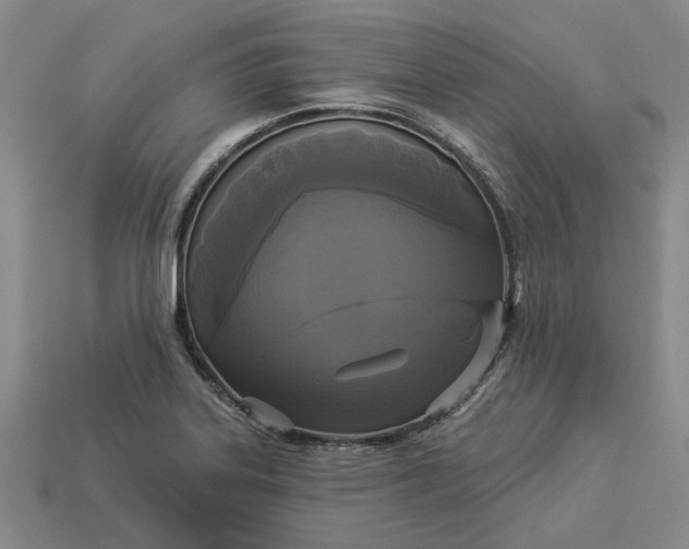 X0000112961323200909101625