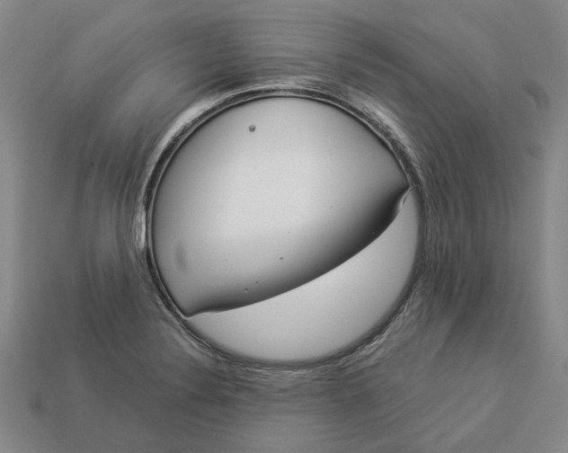 X0000112961324200909101625