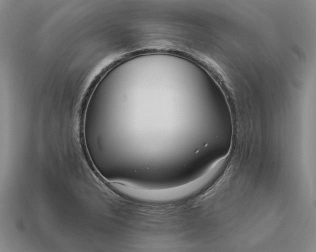 X0000112961326200909101625