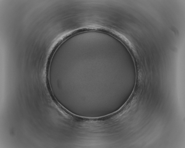 X0000112961327200909101625