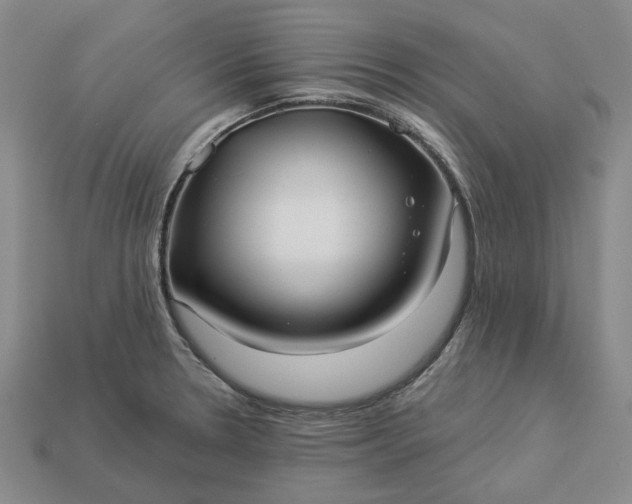 X0000112961330200909101625