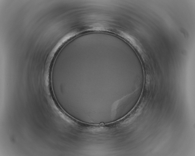 X0000112961331200909101625