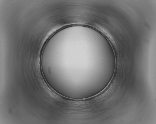 X0000112961332200909101625