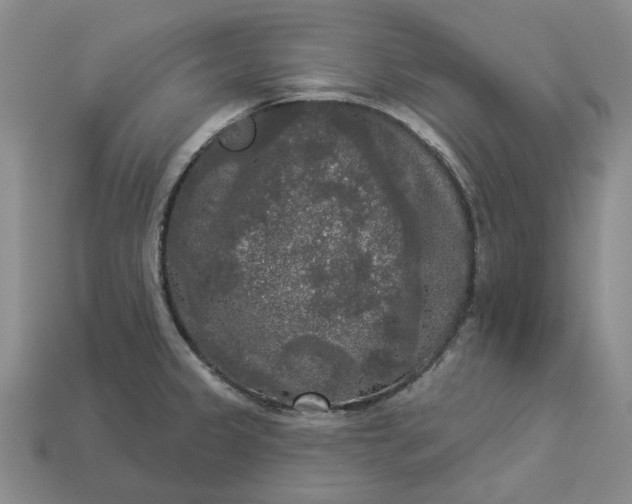 X0000112961333200909101625