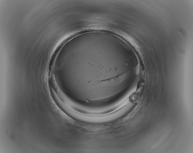 X0000112961334200909101625