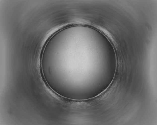 X0000112961335200909101625