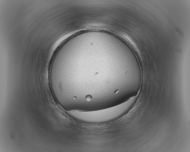 X0000112961336200909101625