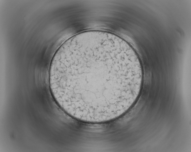 X0000112961338200909101625