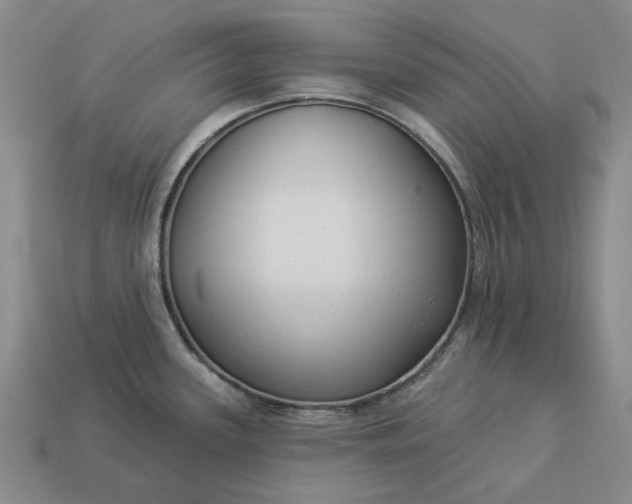 X0000112961339200909101625