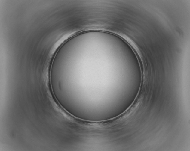 X0000112961341200909101625