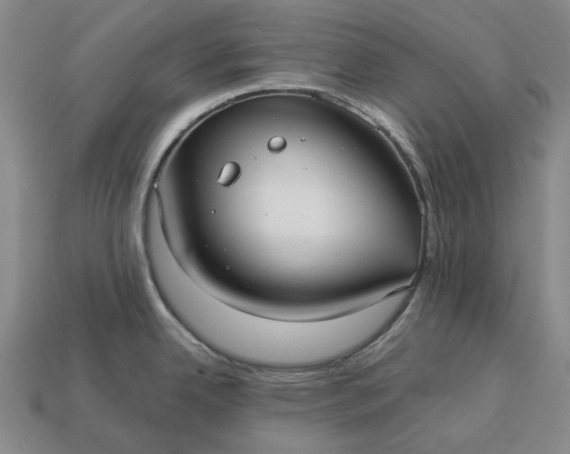 X0000112961342200909101625