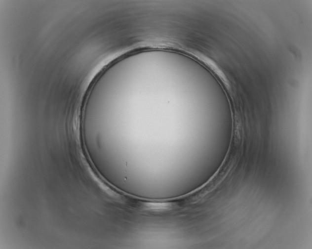 X0000112961343200909101625