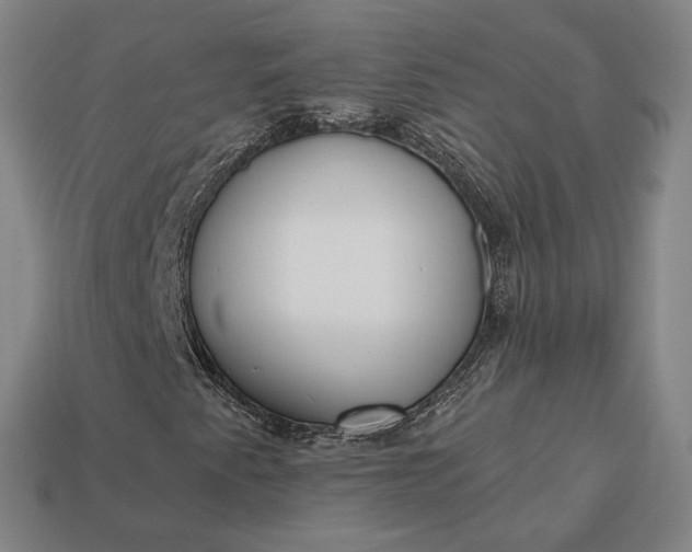 X0000112961345200909101624