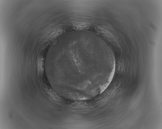 X0000112961346200909101624