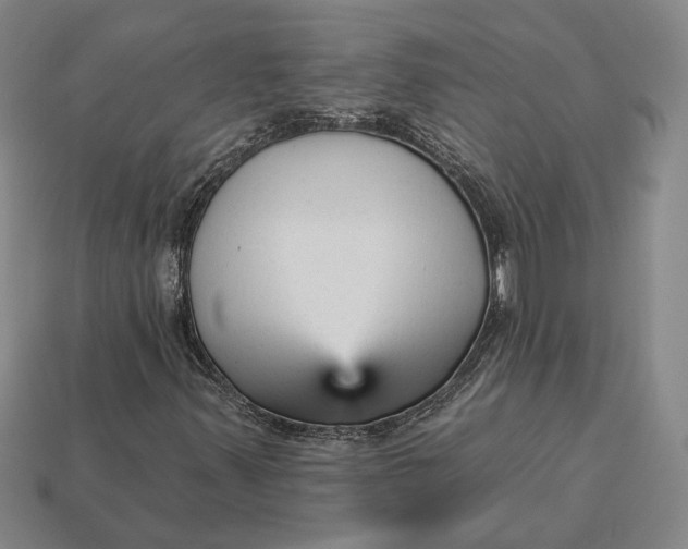 X0000112961347200909101624