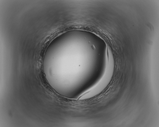 X0000112961349200909101624