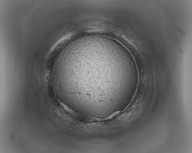 X0000112961351200909101624