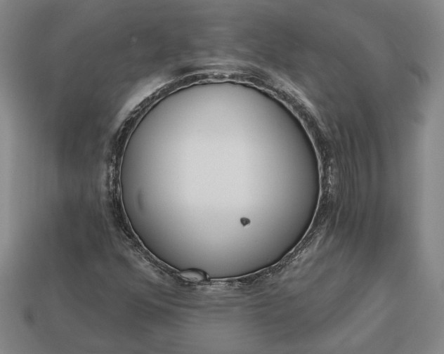 X0000112961352200909101624