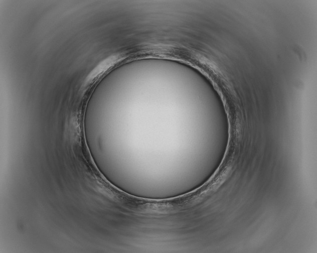 X0000112961354200909101624