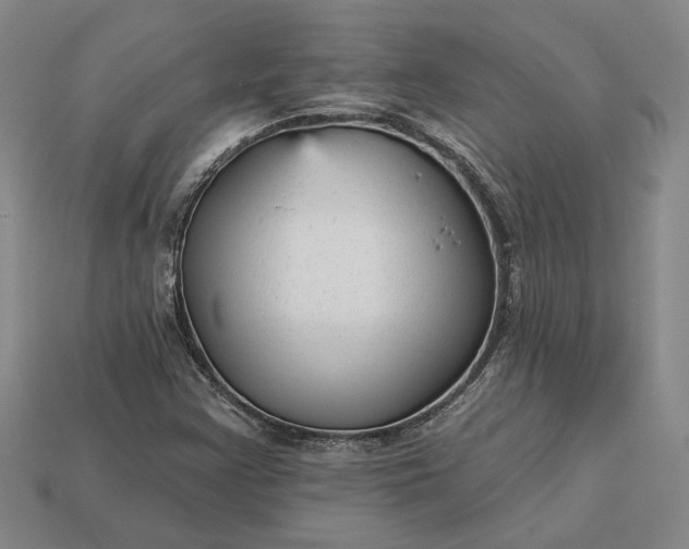 X0000112961355200909101624