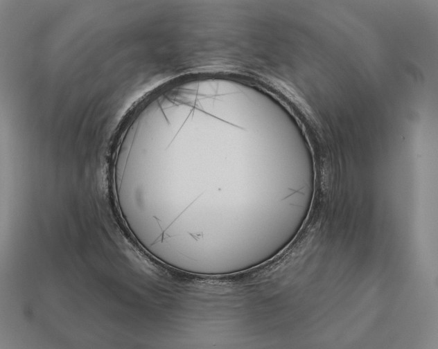 X0000112961356200909101624