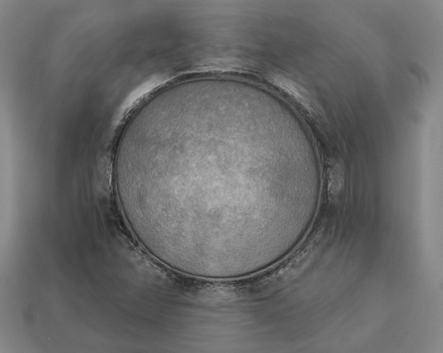 X0000112961358200909101624