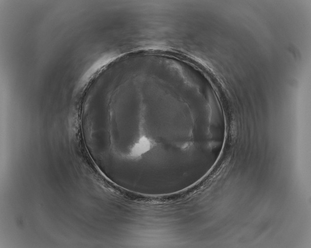 X0000112961359200909101624