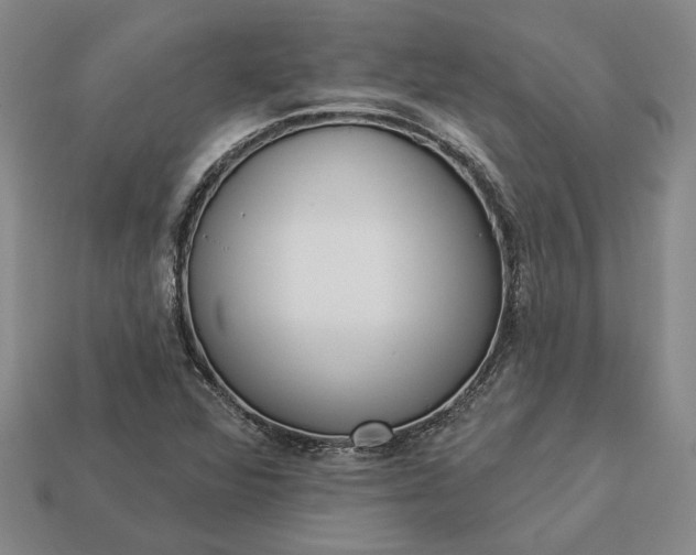 X0000112961360200909101624