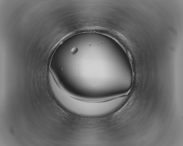 X0000112961361200909101624