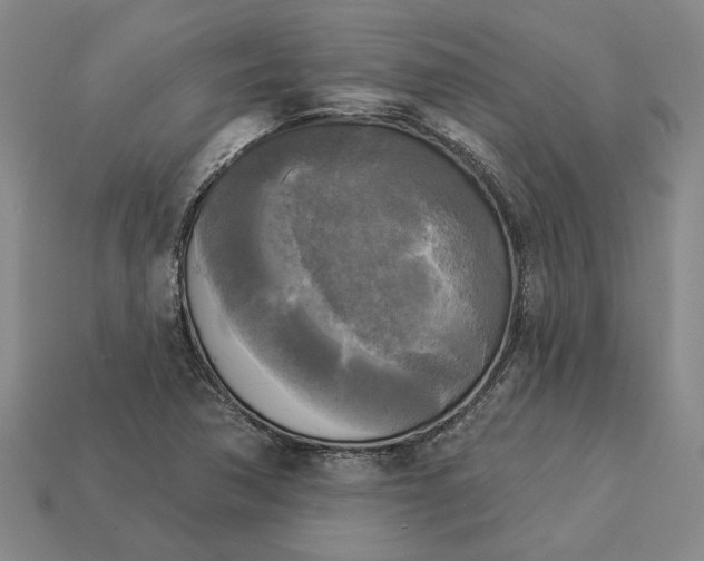 X0000112961362200909101624