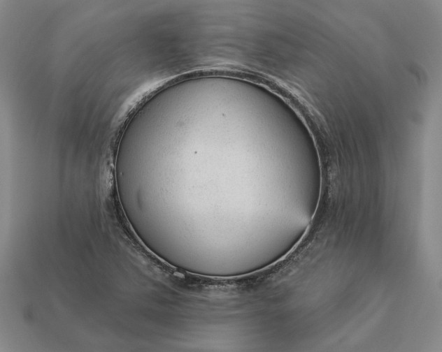 X0000112961363200909101624