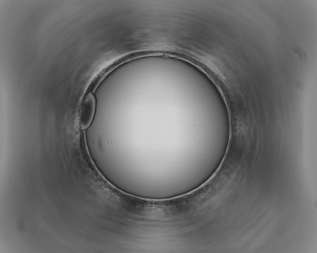 X0000112961364200909101624