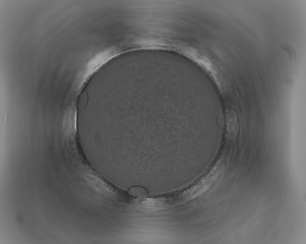 X0000112961365200909101624