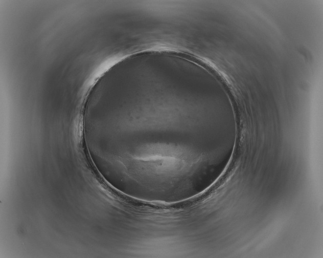 X0000112961367200909101624