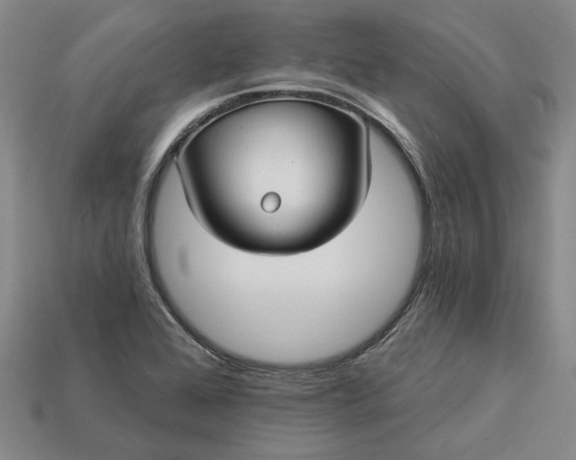 X0000112961368200909101624