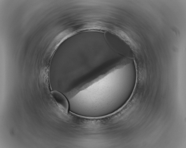 X0000112961369200909101624