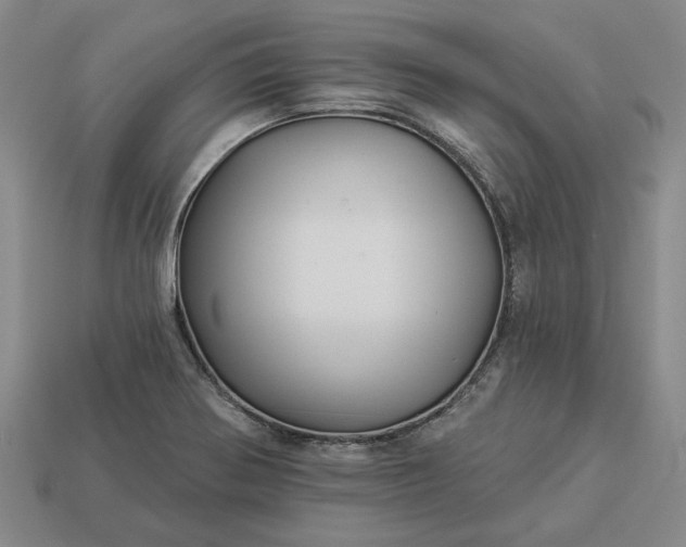 X0000112961370200909101624