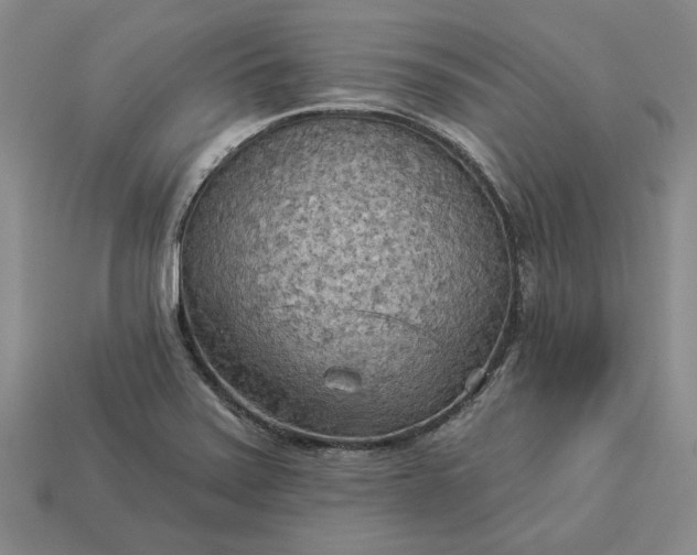 X0000112961371200909101624