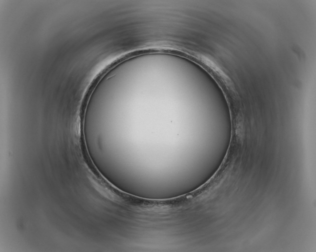 X0000112961372200909101624