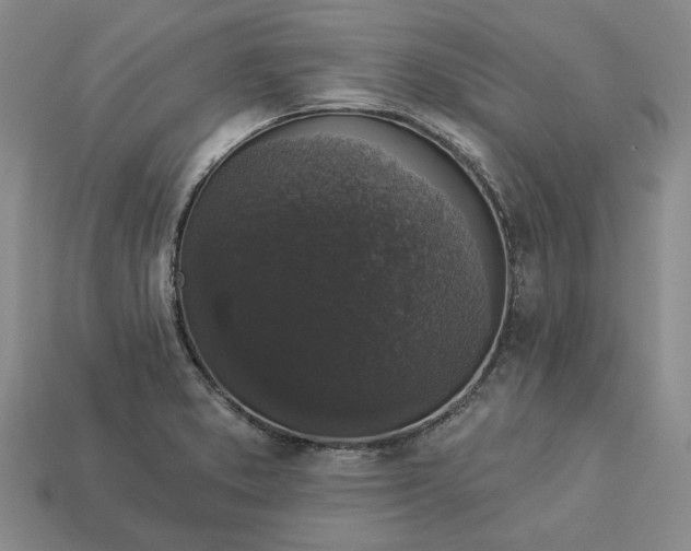 X0000112961373200909101624