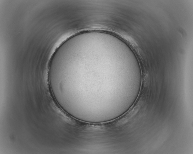 X0000112961374200909101624