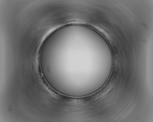 X0000112961375200909101624