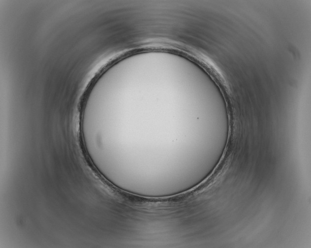 X0000112961376200909101624