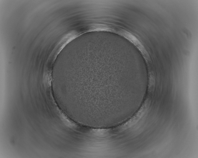 X0000112961377200909101624