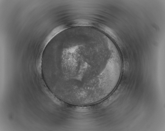 X0000112961378200909101624