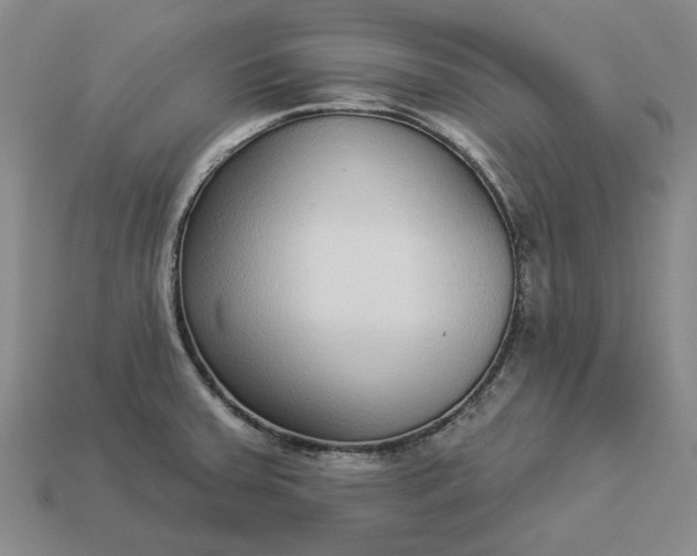 X0000112961379200909101624