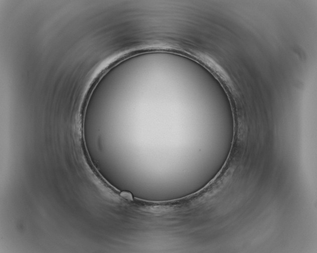 X0000112961380200909101624